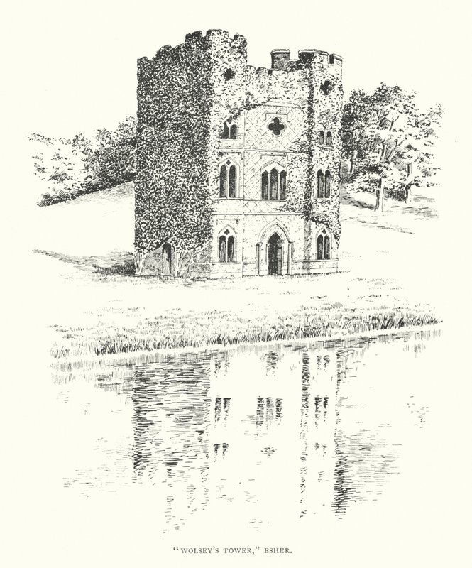 Wolsey