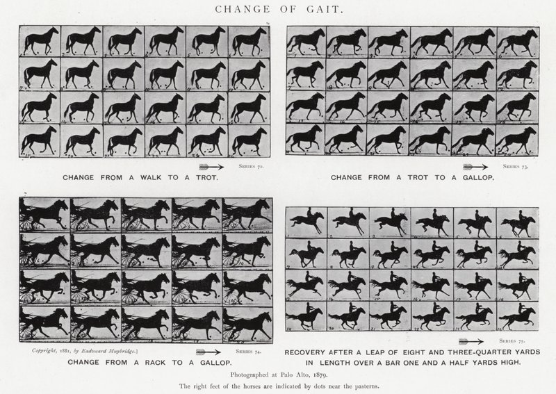 Change of Gait by Eadweard Muybridge