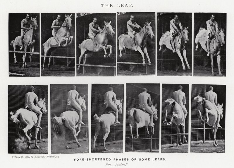 The Leap by Eadweard Muybridge