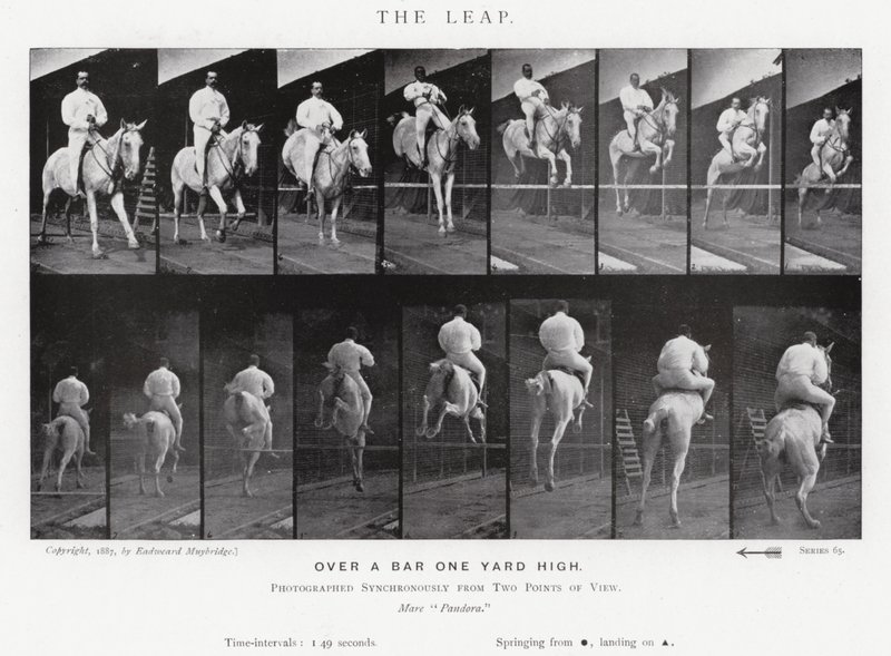 The Leap by Eadweard Muybridge