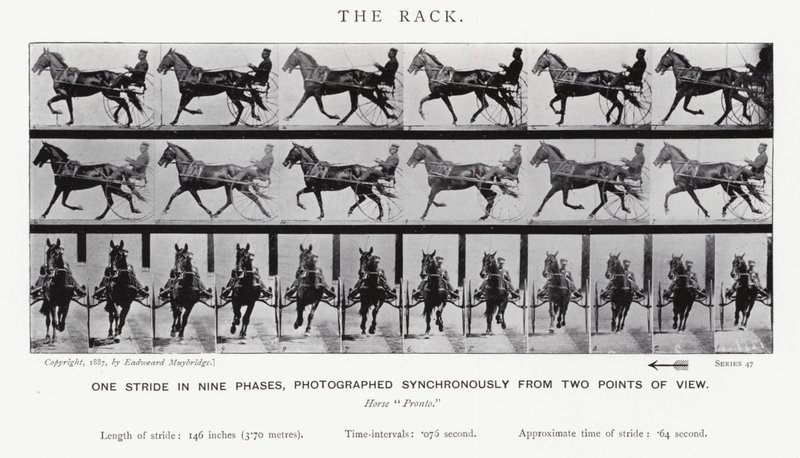 The Rack by Eadweard Muybridge
