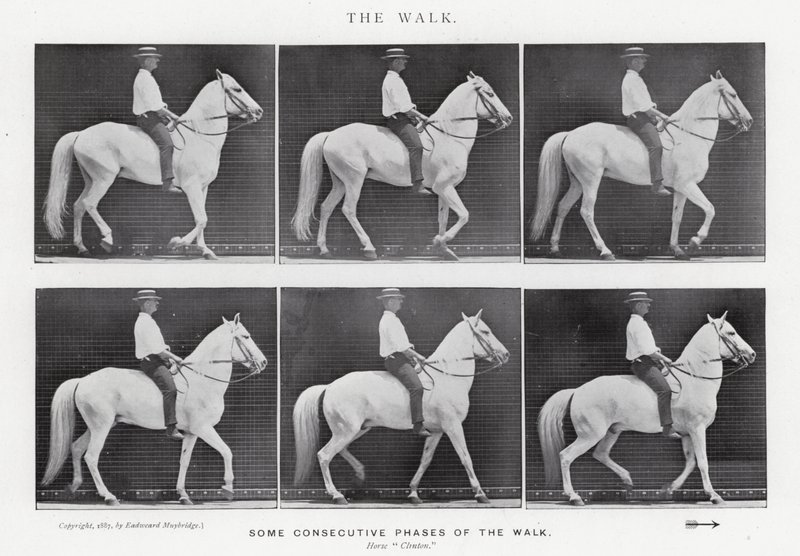 Eadweard Muybridge: The Walk by Eadweard Muybridge