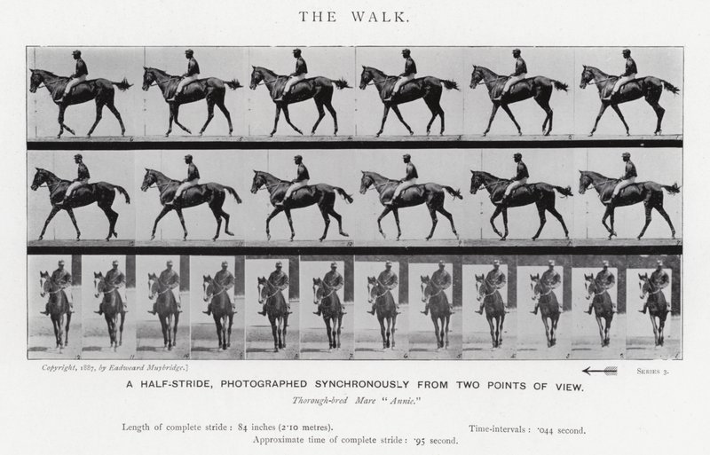 Eadweard Muybridge: The Walk by Eadweard Muybridge