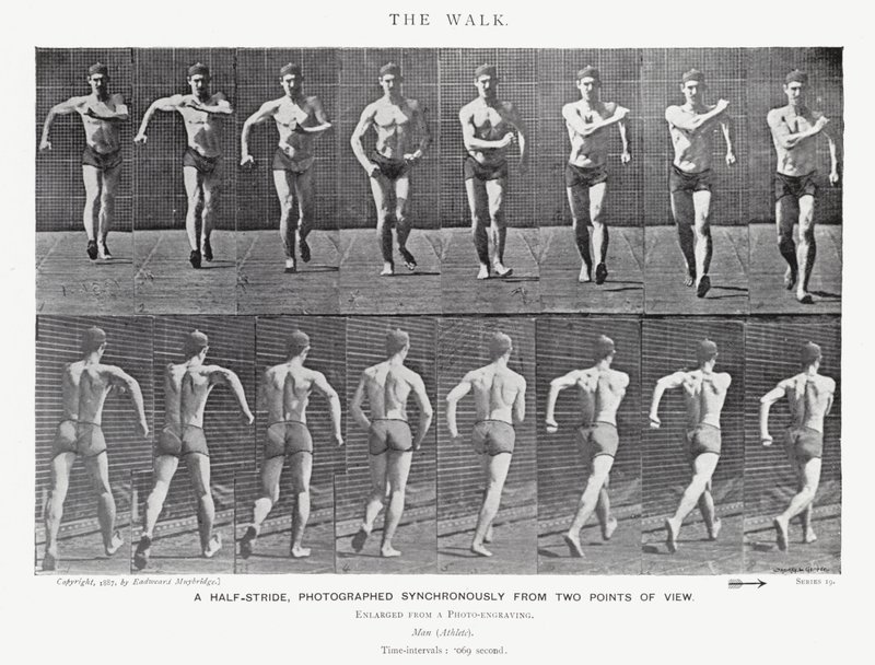 Eadweard Muybridge: The Walk by Eadweard Muybridge