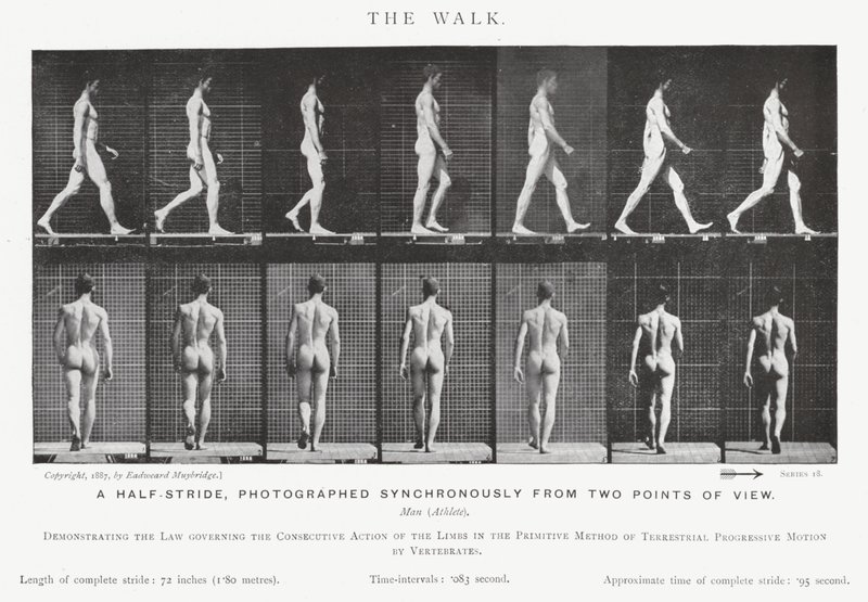 The Walk by Eadweard Muybridge