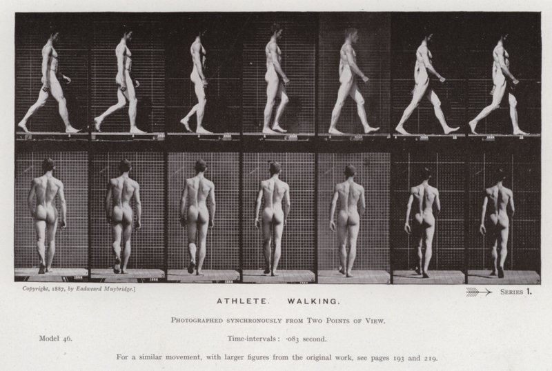 The Human Figure in Motion: Athlete, Walking by Eadweard Muybridge