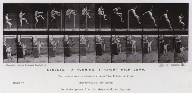 The Human Figure in Motion: Athlete, a running, straight high jump by Eadweard Muybridge