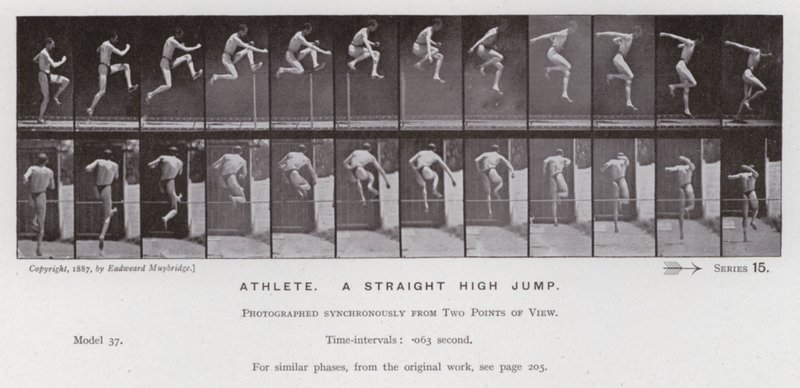 The Human Figure in Motion: Athlete, a straight high jump by Eadweard Muybridge