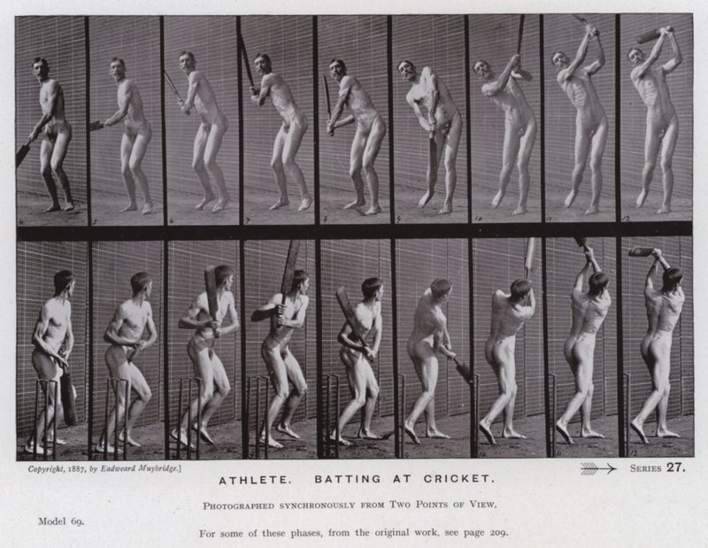 The Human Figure in Motion: Athlete, batting at cricket by Eadweard Muybridge