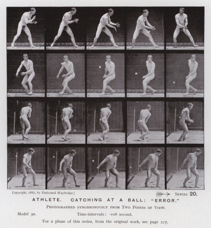 The Human Figure in Motion: Athlete, catching at a ball, "error" by Eadweard Muybridge