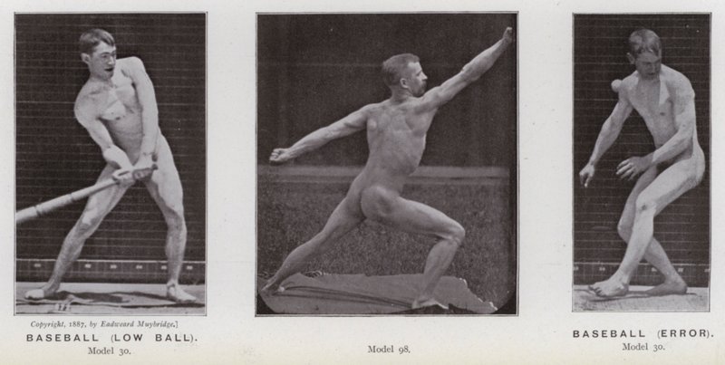The Human Figure in Motion: Baseball, low ball; Baseball, error by Eadweard Muybridge