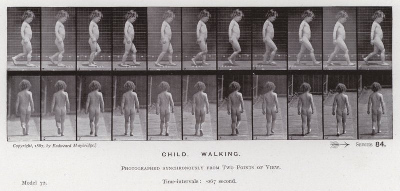 The Human Figure in Motion: Child, Walking by Eadweard Muybridge