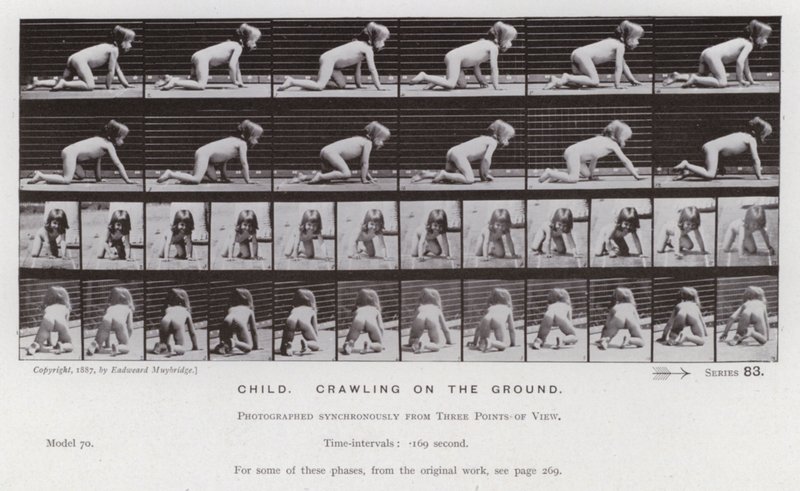 The Human Figure in Motion: Child, crawling on the ground by Eadweard Muybridge