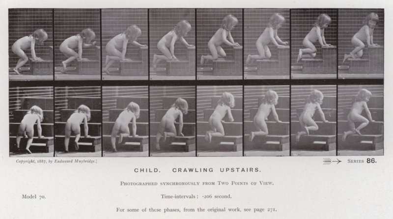The Human Figure in Motion: Child, crawling upstairs by Eadweard Muybridge