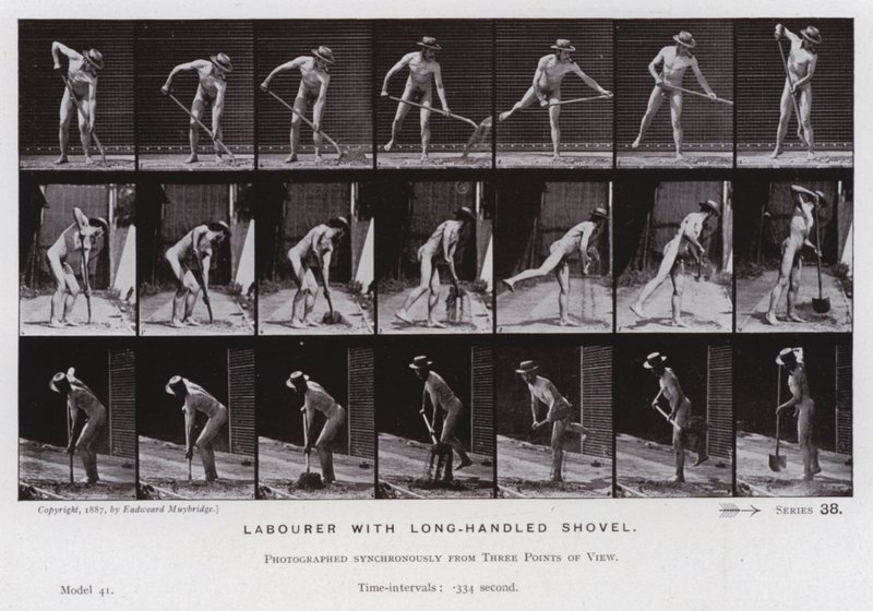The Human Figure in Motion: Labourer with long-handled shovel by Eadweard Muybridge