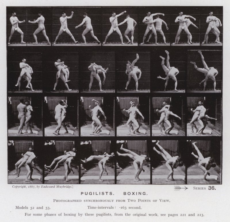 The Human Figure in Motion: Pugilists, Boxing by Eadweard Muybridge