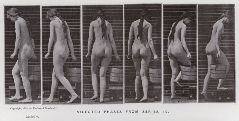 The Human Figure in Motion: Selected phases from series 42 by Eadweard Muybridge