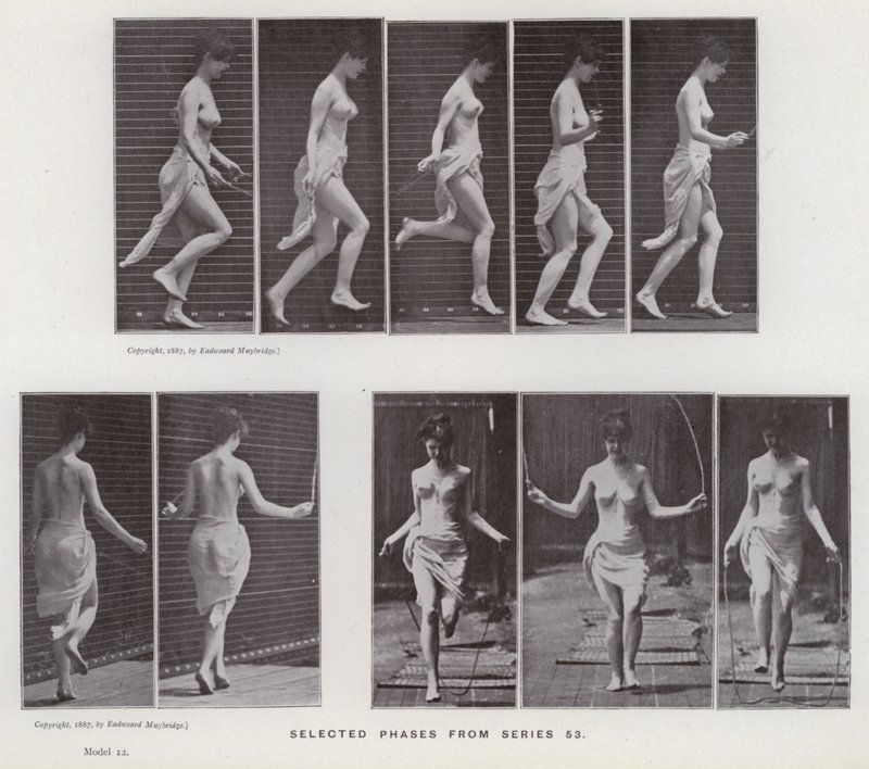 The Human Figure in Motion: Selected phases from series 53 by Eadweard Muybridge