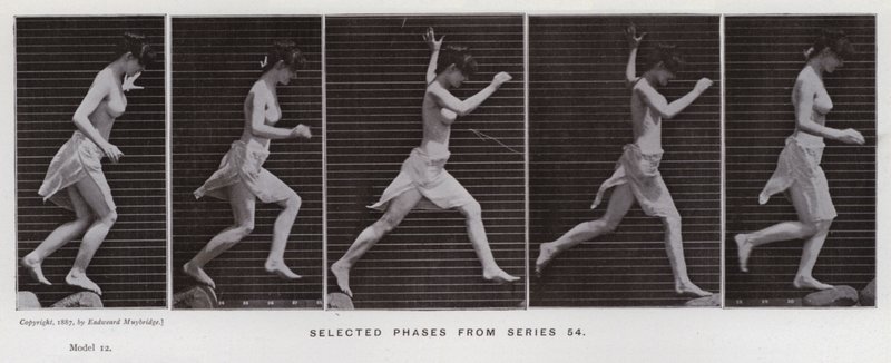 The Human Figure in Motion: Selected phases from series 54 by Eadweard Muybridge