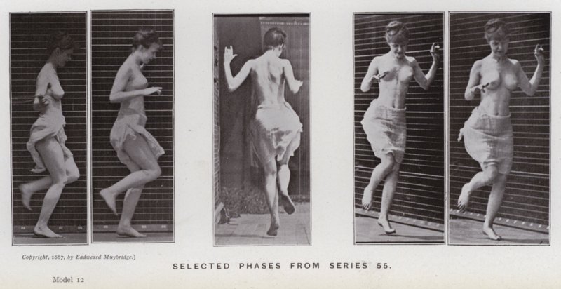 The Human Figure in Motion: Selected phases from series 55 by Eadweard Muybridge
