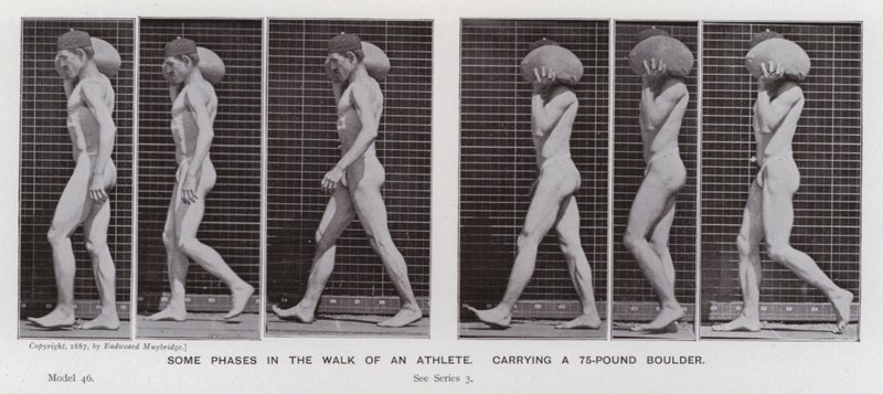 The Human Figure in Motion: Some Phases in the Walk of an Athlete, Carrying a 75-Pound Boulder by Eadweard Muybridge
