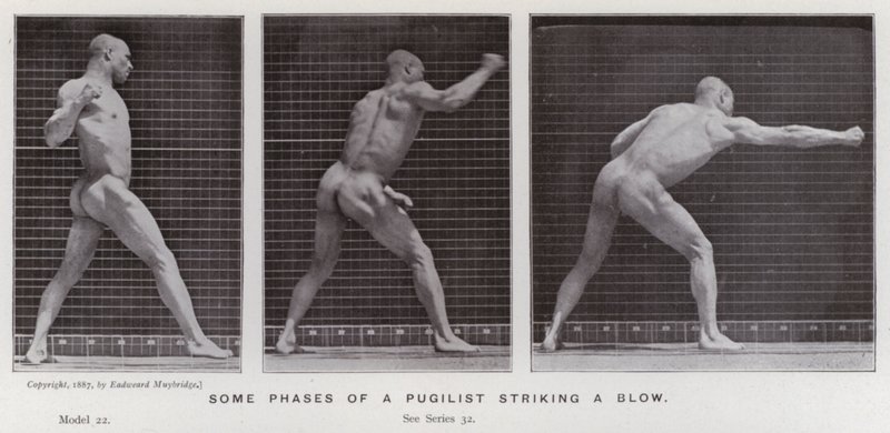 The Human Figure in Motion: Some phases of a pugilist striking a blow by Eadweard Muybridge