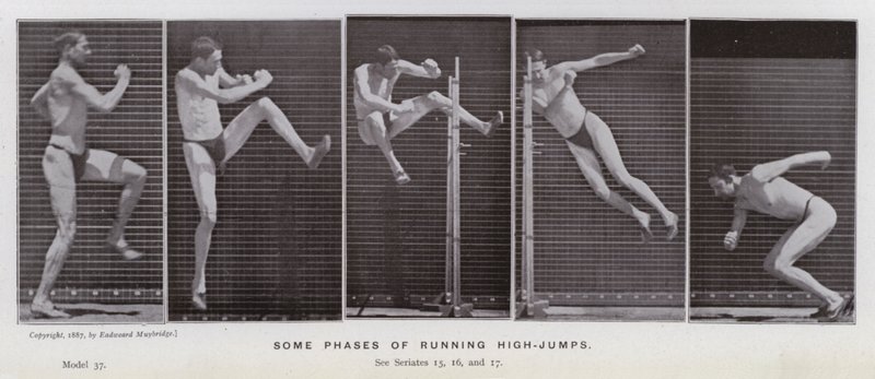 The Human Figure in Motion: Some phases of running high-jumps by Eadweard Muybridge