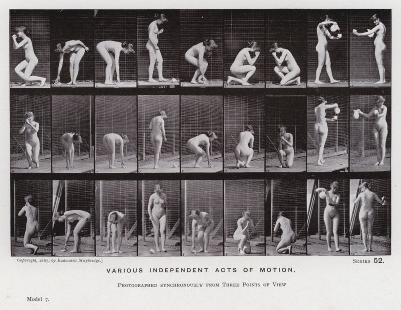 The Human Figure in Motion: Various Independent Acts of Motion by Eadweard Muybridge