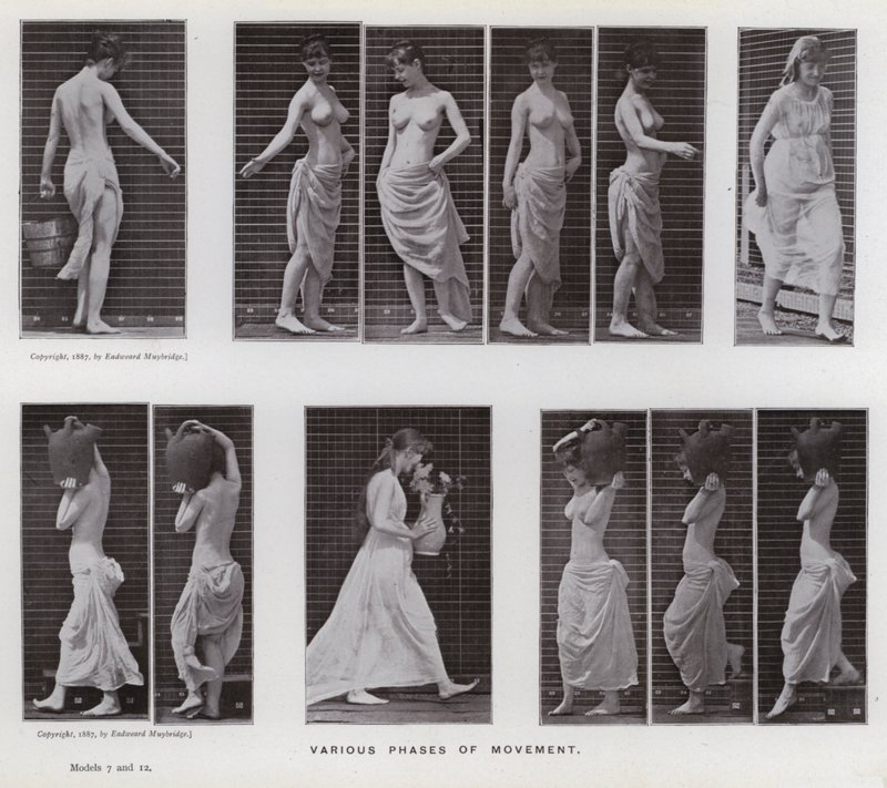 The Human Figure in Motion: Various phases of movement by Eadweard Muybridge