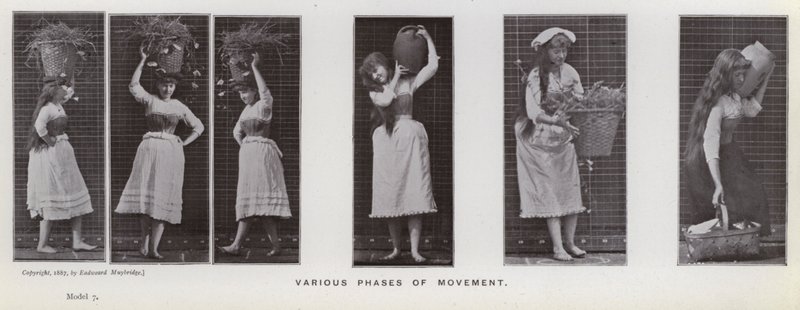The Human Figure in Motion: Various phases of movement by Eadweard Muybridge