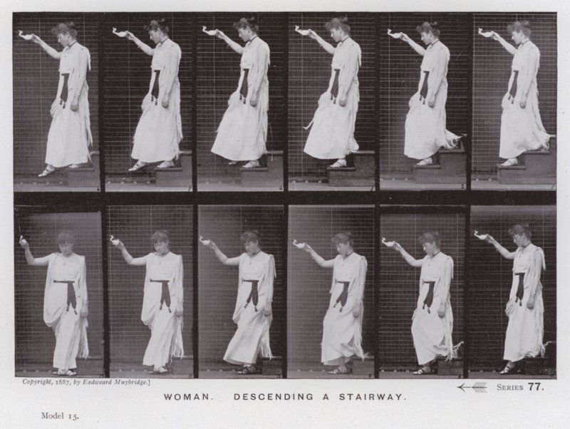 The Human Figure in Motion: Woman, descending a stairway by Eadweard Muybridge