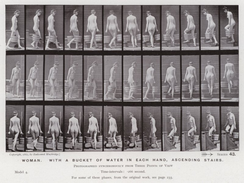 The Human Figure in Motion: Woman, with a bucket of water in each hand, ascending stairs by Eadweard Muybridge