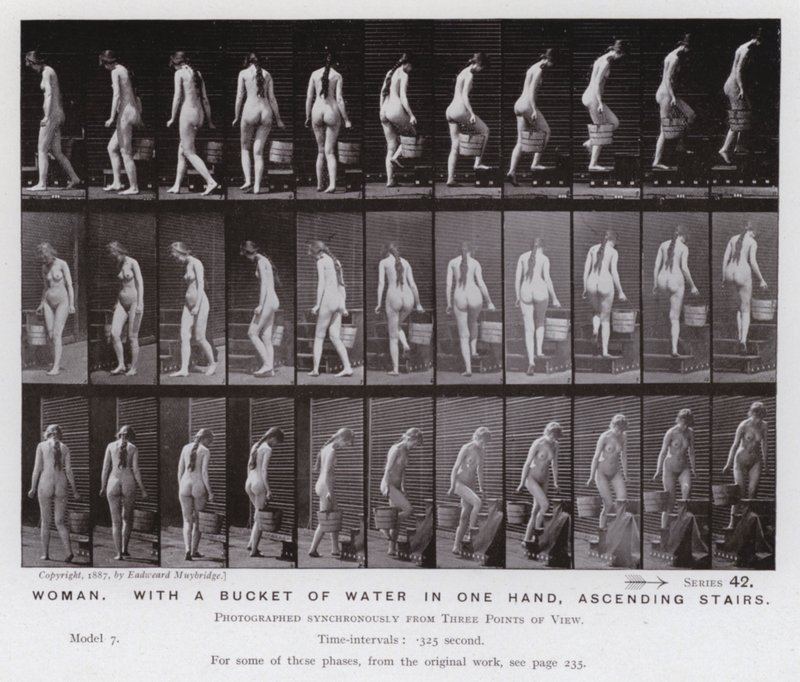 The Human Figure in Motion: Woman, with a bucket of water in one hand, ascending stairs by Eadweard Muybridge