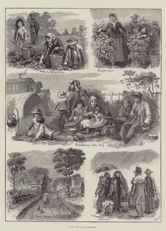 With the Fruit-Gatherers by Edmund Richard White