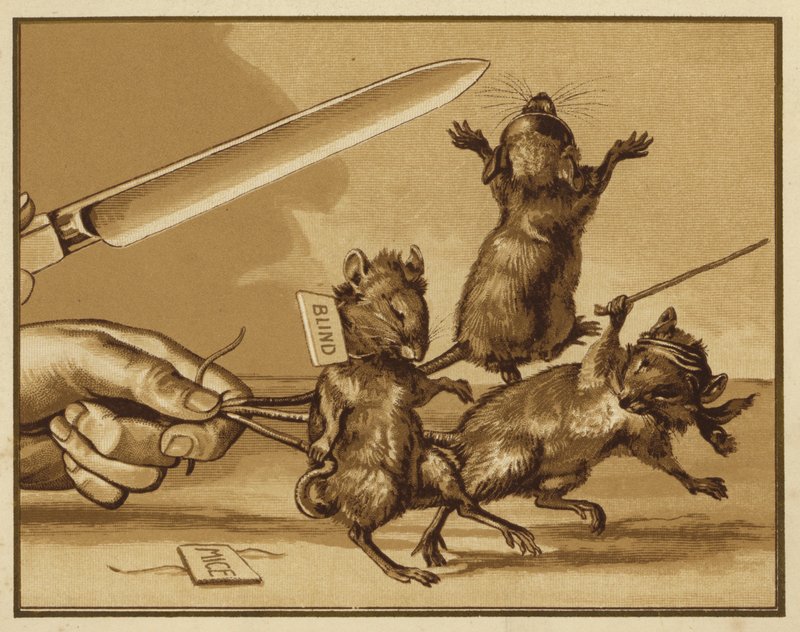 Illustration for Three Blind Mice by Edmund G. Caldwell