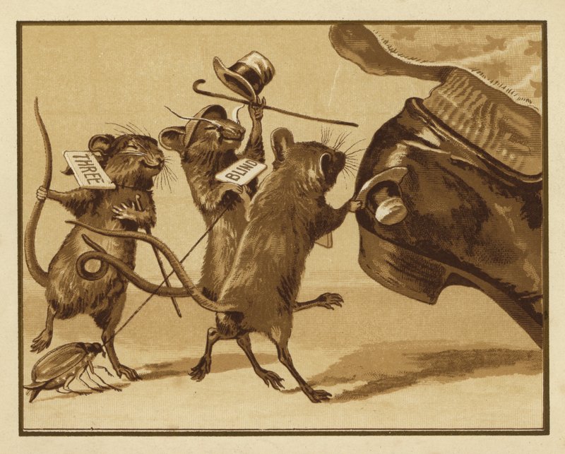Illustration for Three Blind Mice by Edmund G. Caldwell