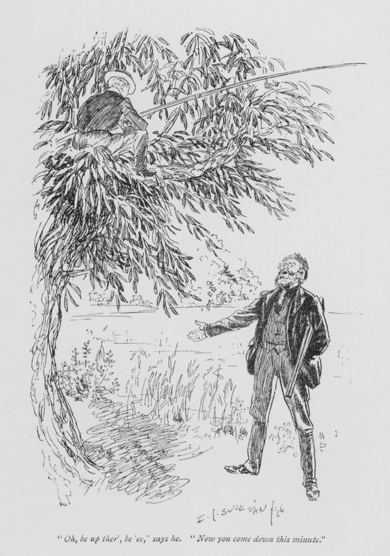 Illustration for Tom Brown