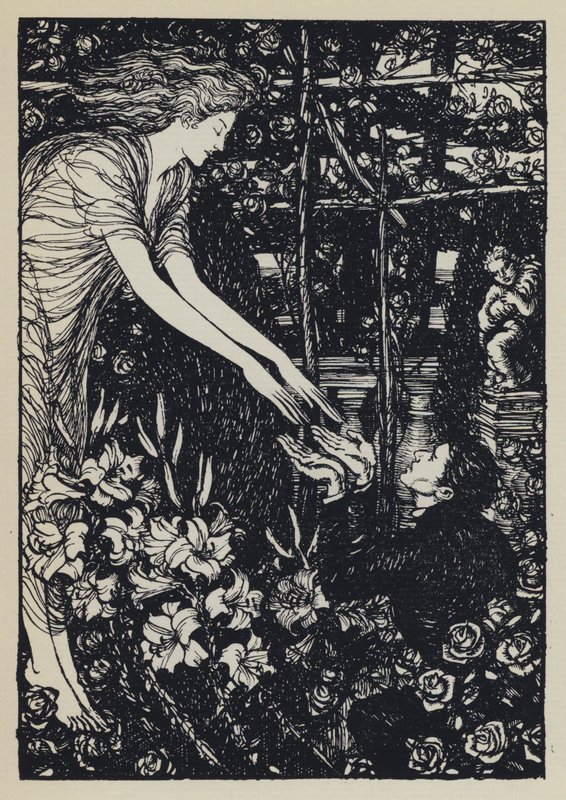 Illustration for Tennyson