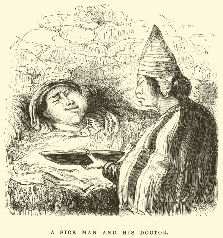 A Sick Man and His Doctor by Edouard Riou