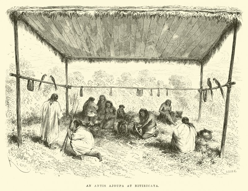 An Antis Ajoupa at Bitiricaya by Edouard Riou