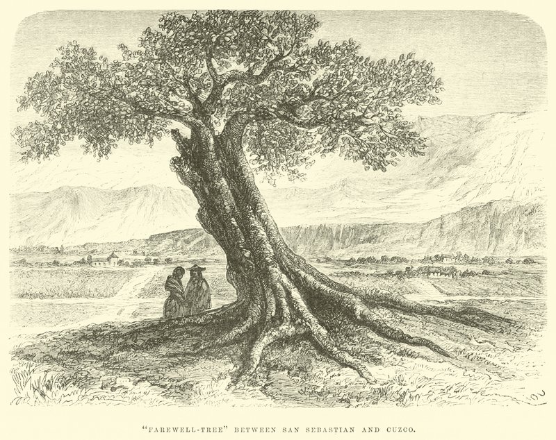 Farewell-tree between San Sebastian and Cuzco by Edouard Riou