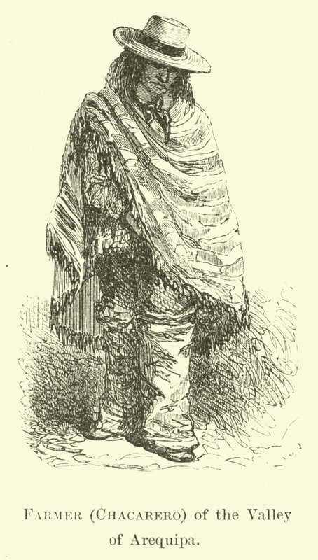 Farmer (Chacarero) of the Valley of Arequipa by Edouard Riou