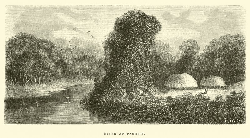 River at Pachiri by Edouard Riou