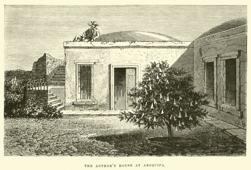 The author