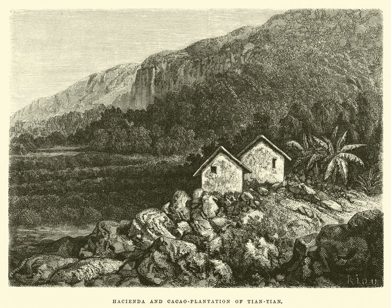 Hacienda and Cacao-Plantation of Tian-Tian by Edouard Riou
