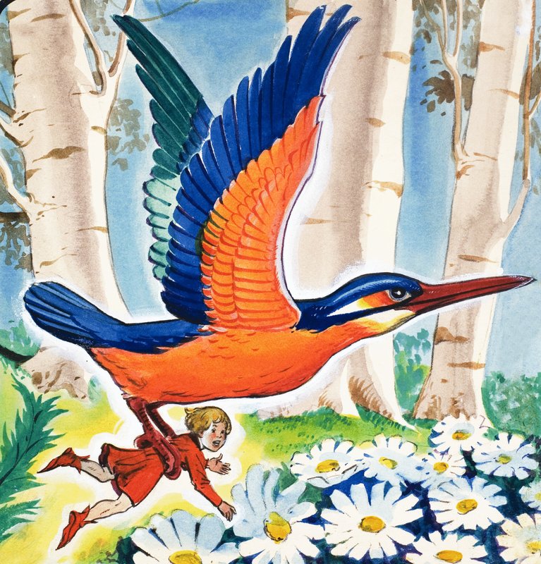 The Story of Tom Thumb by Eduardo Teixeira Coelho