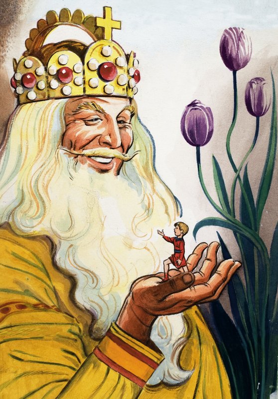 The Story of Tom Thumb by Eduardo Teixeira Coelho