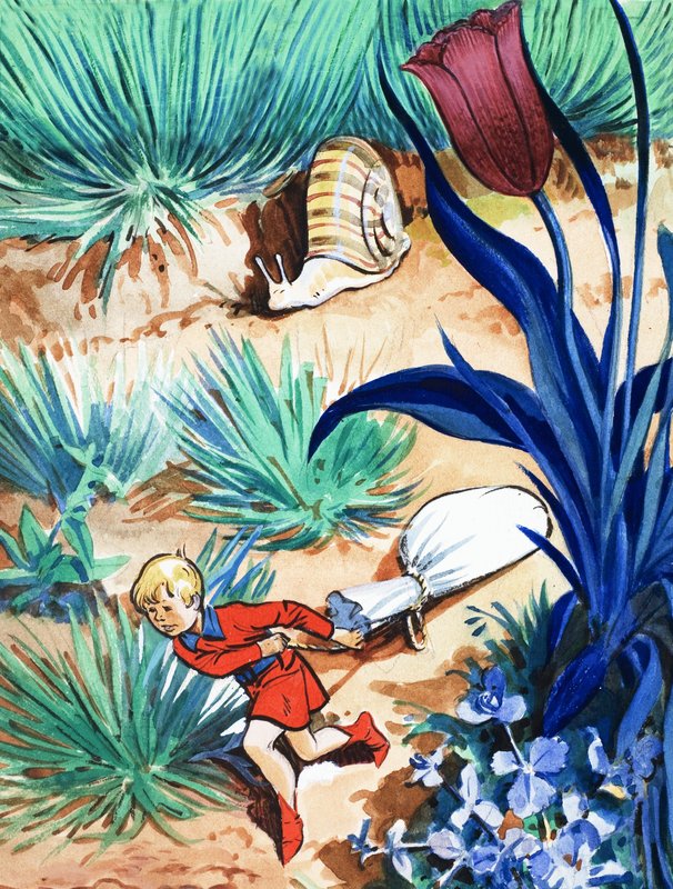 The Story of Tom Thumb by Eduardo Teixeira Coelho