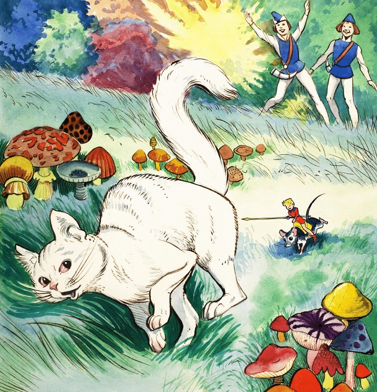 The Story of Tom Thumb by Eduardo Teixeira Coelho