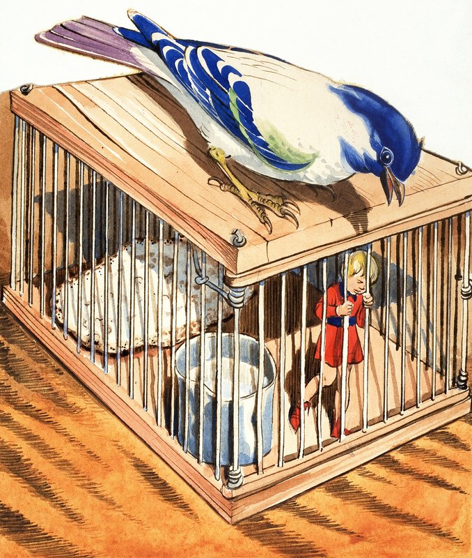 Tom Thumb in a Bird Cage by Eduardo Teixeira Coelho